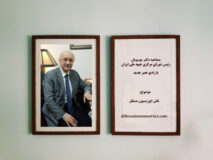 نقش اپوزیسیون مستقل